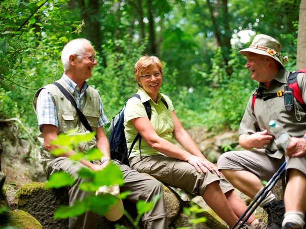 Wanderrast im Habichtswald