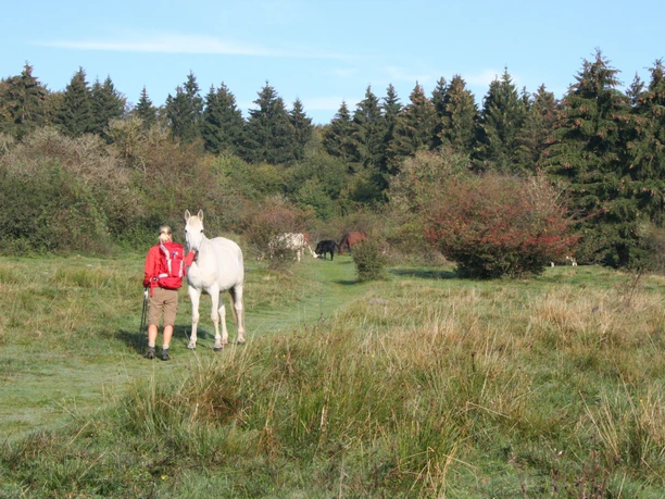 Herkuleshute bei Kassel