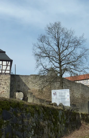 Burg Herzberg
