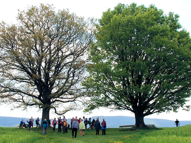 Hugenotten und Waldenserpfad