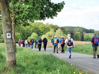 Wanderer am Hugenotten und Waldenserpfad