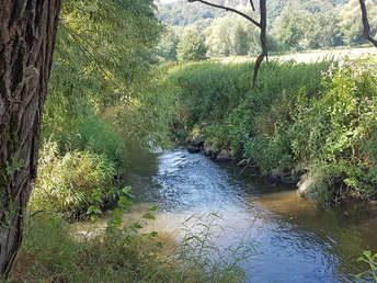 Rast am Fluss Schwalm