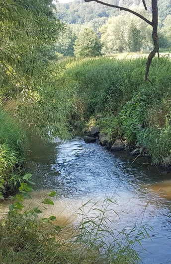 Rast am Fluss Schwalm