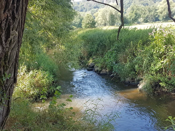 Rast am Fluss Schwalm