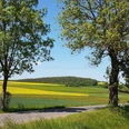 Schwalm-Radweg Sommer