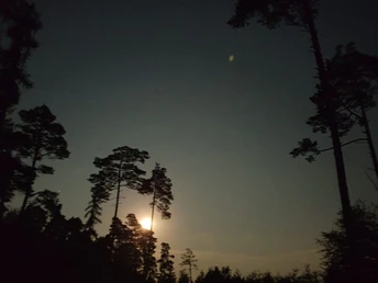 Wanderspaß für Nachtaktive 23.07.2021