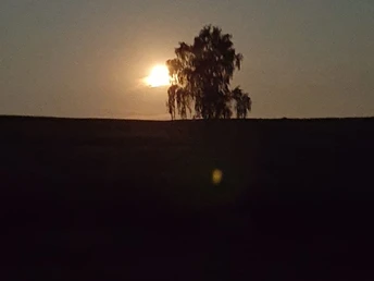 Wanderspaß für Nachtaktive 23.Juli