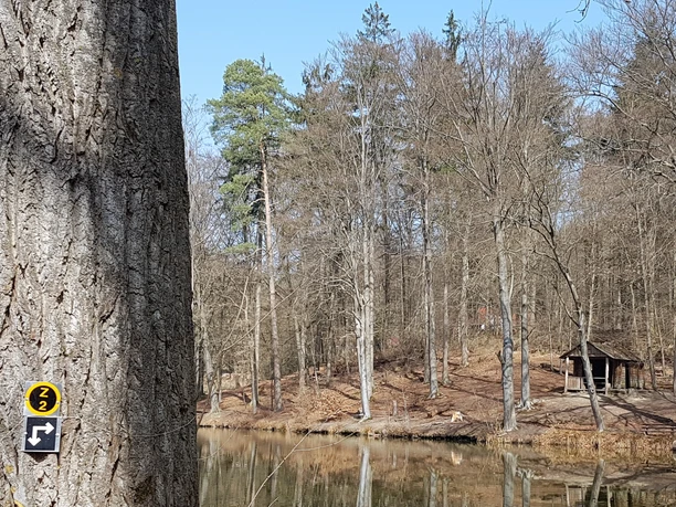 Teich im Schützenwald