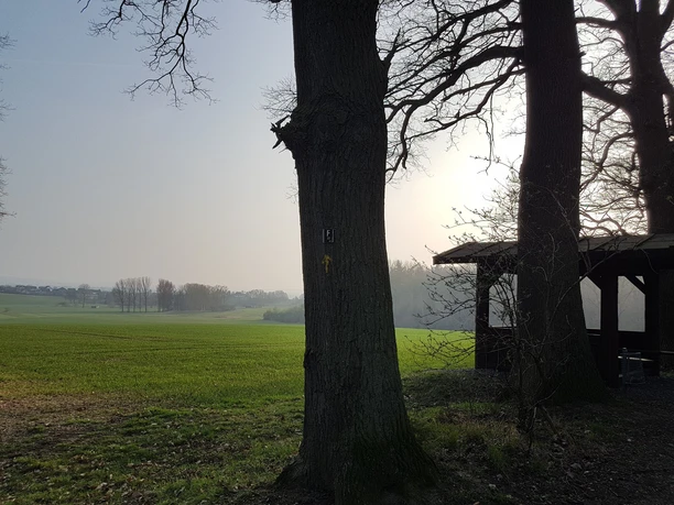 Hütte am Waldrand vom Schützenwald