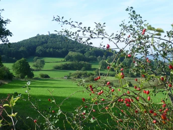 Hessenturm Niedenstein