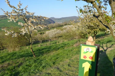 #herzverlieren in der Obstbauversuchsanlage mit Zweiburgenblick am KWW1+2(c)Claudia Krabbes