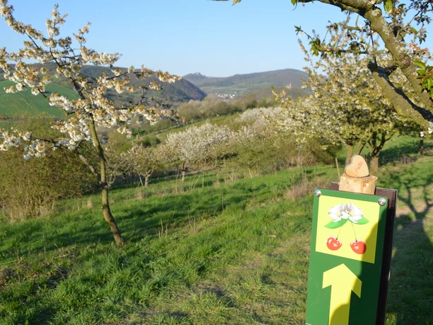 #herzverlieren in der Obstbauversuchsanlage mit Zweiburgenblick am KWW1+2(c)Claudia Krabbes