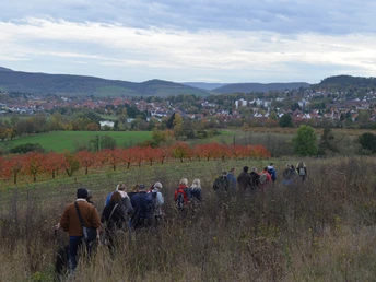 Wandergruppe auf dem Kirschwanderweg 3 (c) Susanne Pfingst