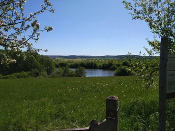 Naturschutzgebiet Hengstwiese Naumburg