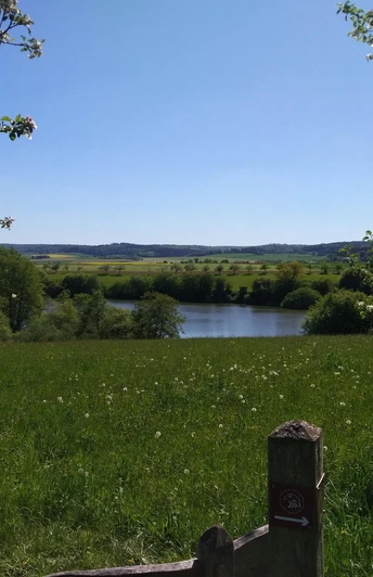Naturschutzgebiet Hengstwiese Naumburg