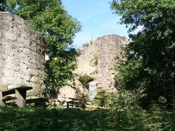 Burgruine Falkenstein