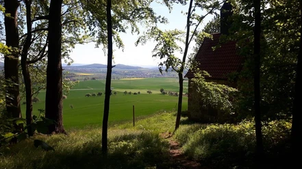 Waldrausch Bad Emstal Riede