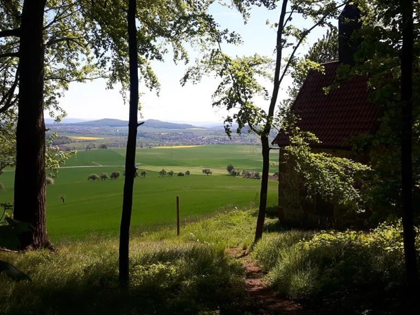 Waldrausch Bad Emstal Riede