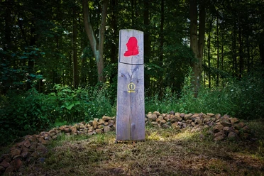 Rundweg im Waldpark Schloss Riede