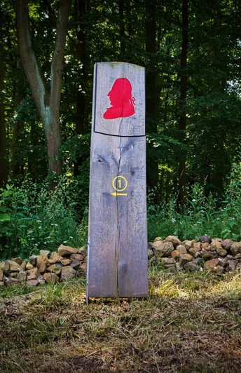 Rundweg im Waldpark Schloss Riede