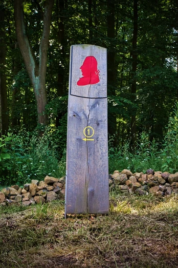 Rundweg im Waldpark Schloss Riede