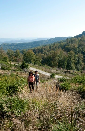 RegionKasselLand_2009-09-27_6422_1