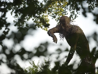 Niestetal_2010-08-14_3567