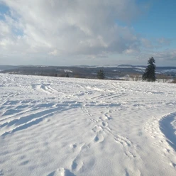 Loipen am Eisenberg