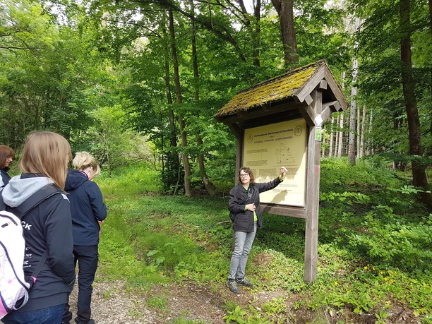 Archäologischer Wanderweg am Eisenberg