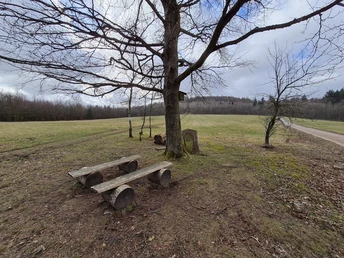 Rastplatz am Schücking-Stein