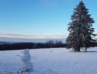 Eisenberg: Schneemann
