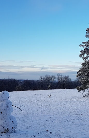Eisenberg: Schneemann