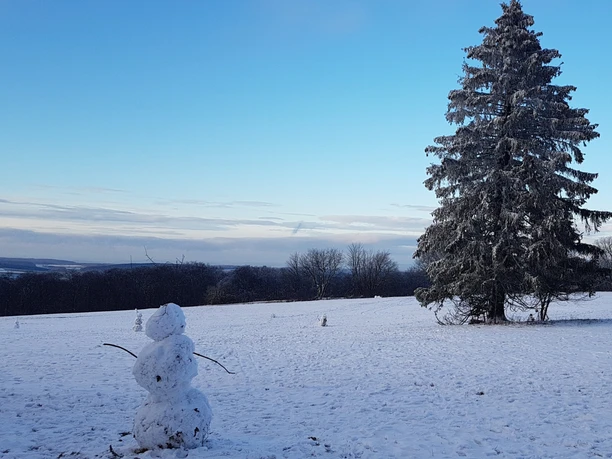 Eisenberg: Schneemann
