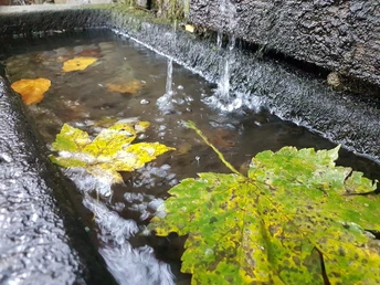 Christinenquelle Eisenberg