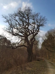 Historischer Rundweg Flachsröste