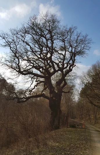 Historischer Rundweg Flachsröste