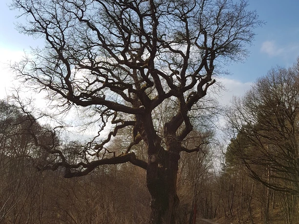 Historischer Rundweg Flachsröste