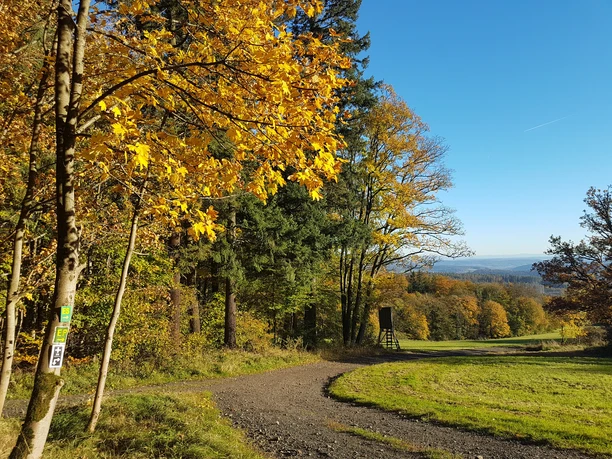 Fernblick am Eisenberg