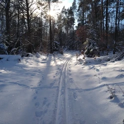 Winter im Ski und Loipenpark am Eisenberg