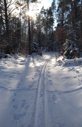 Winter im Ski und Loipenpark am Eisenberg