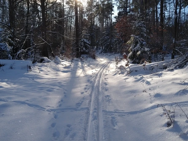 Winter im Ski und Loipenpark am Eisenberg