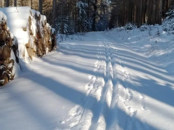 Ski und Loipenpark am Eisenberg
