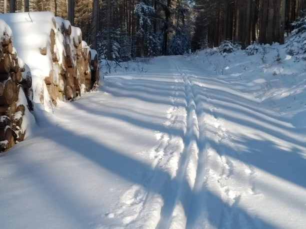 Ski und Loipenpark am Eisenberg