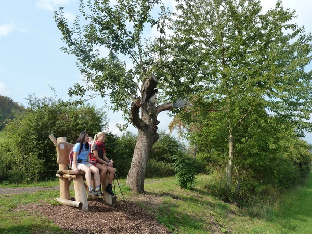 Baumelbank am H7 und Lewitweg Habichtswaldsteig unterhalb Weidelsburg