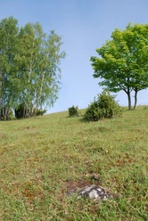 Schanzenberg Steingrund
