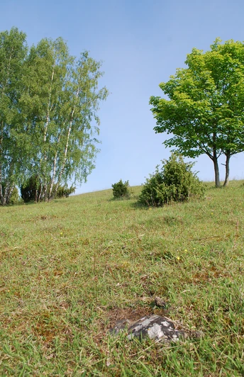 Schanzenberg Steingrund