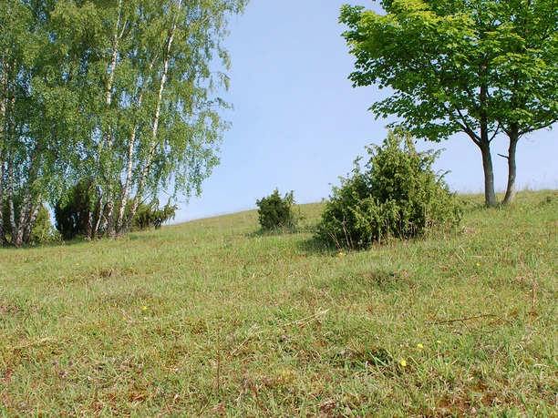 Schanzenberg Steingrund