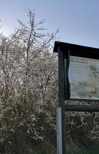Infotafel Marbecktal