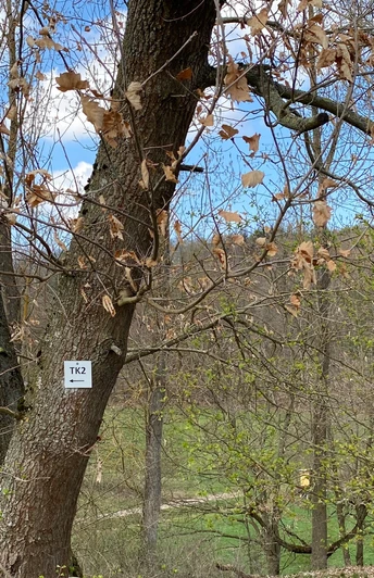 Terrainkurweg TK2 Beschilderung