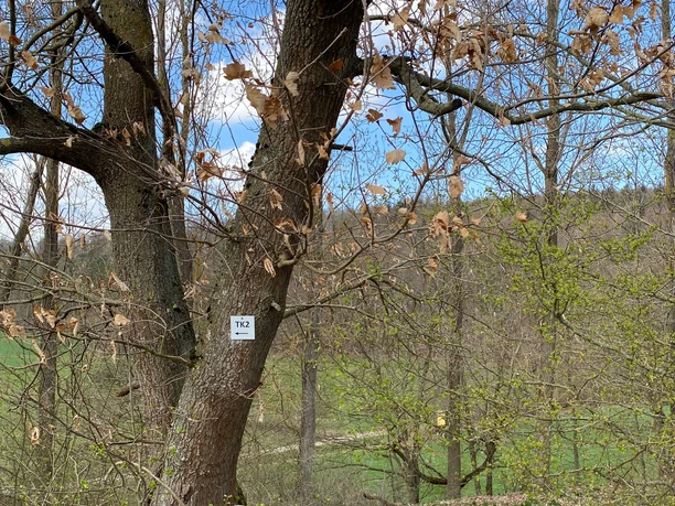 Terrainkurweg TK2 Beschilderung